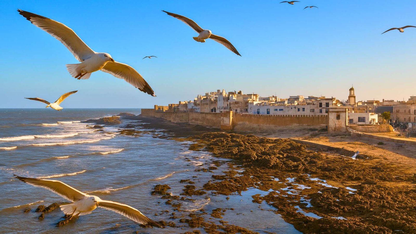 Essaouira